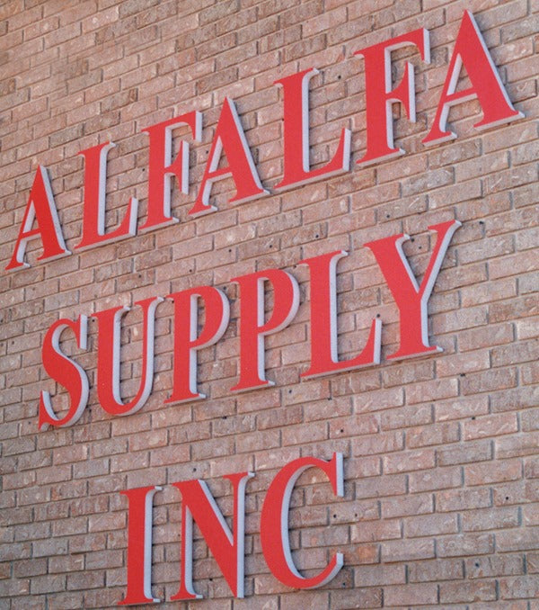 Custom Foam Sign 4x8x1" - White