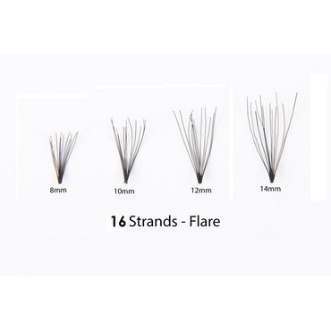 #1 Eyelash Flare Jar 12MM - 16 Long