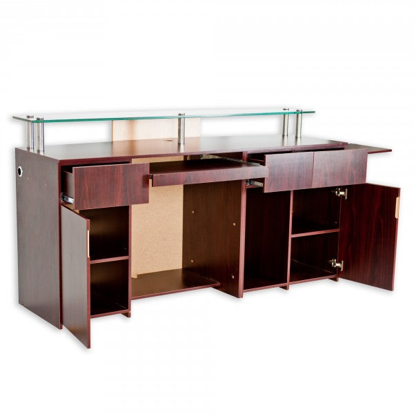 Ion Reception Counter-4