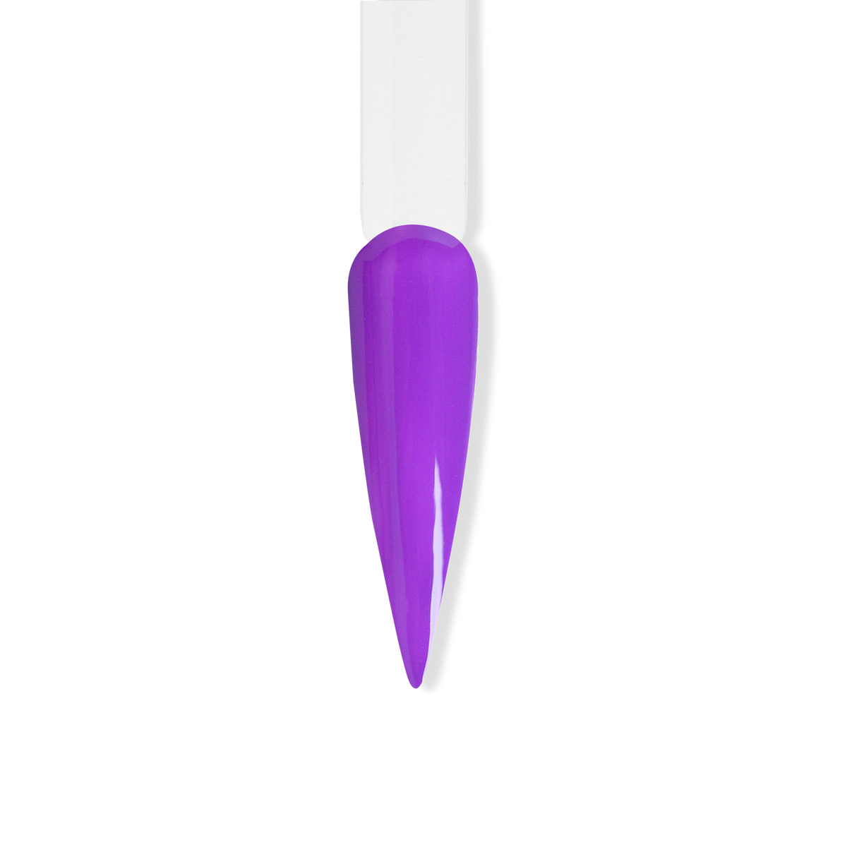 Le'K Trio - Purple Hold'em