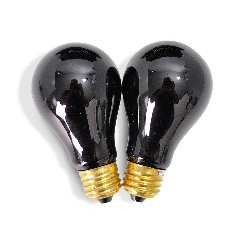 UV Nail Dryer - Dual Fans