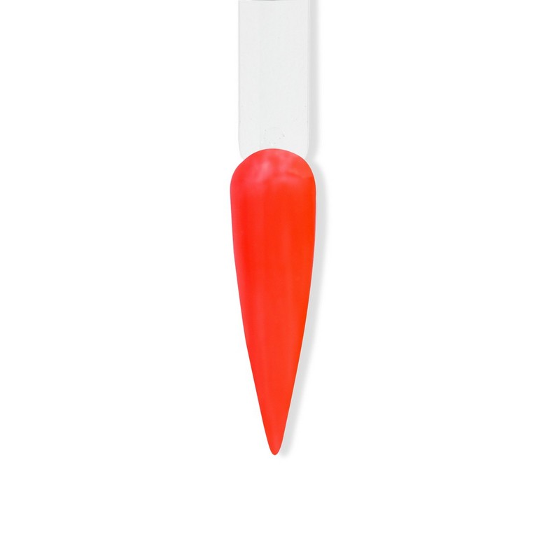 Regal Trio - Charming Shenanigans