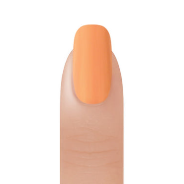 BangBang Duo - No Doubts - 0.5/0.5 oz