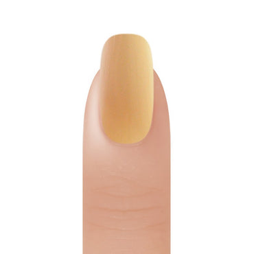 BangBang Dip - Warm Gingerbread - 2 oz