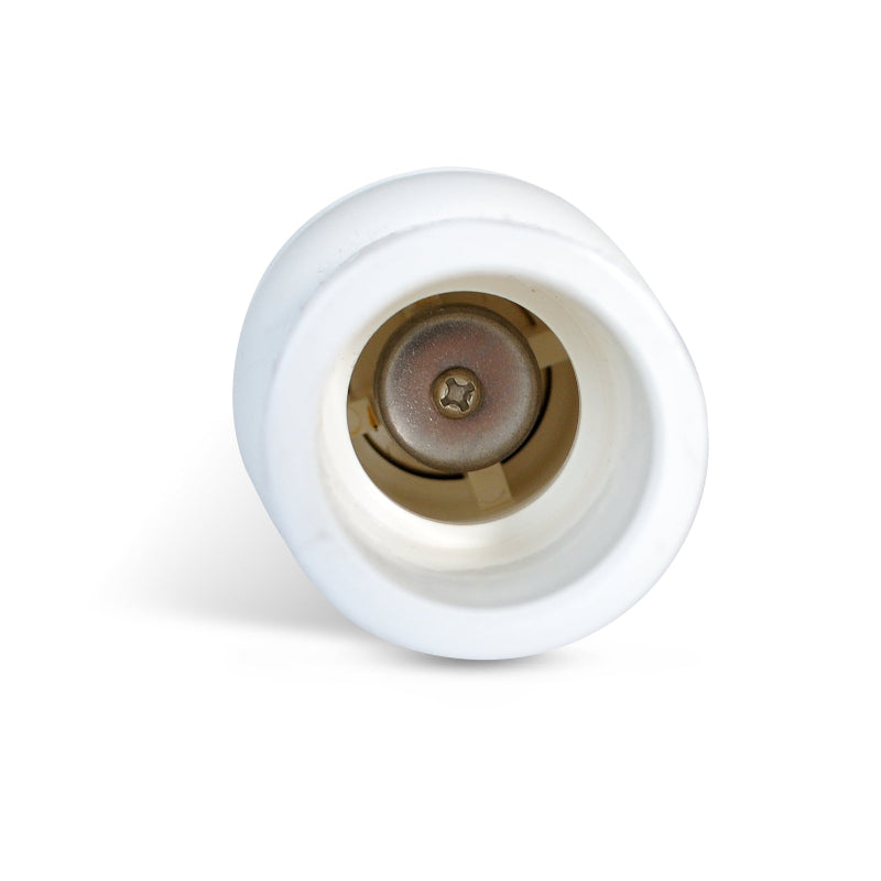 Spa Check Valve 3/4" White Spring Load