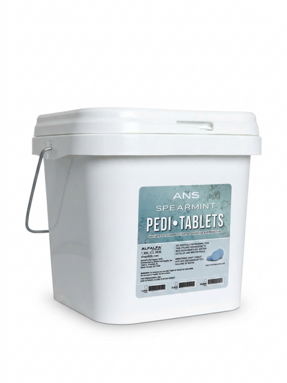 ANS Pedi Spearmint Tablets - 10000
