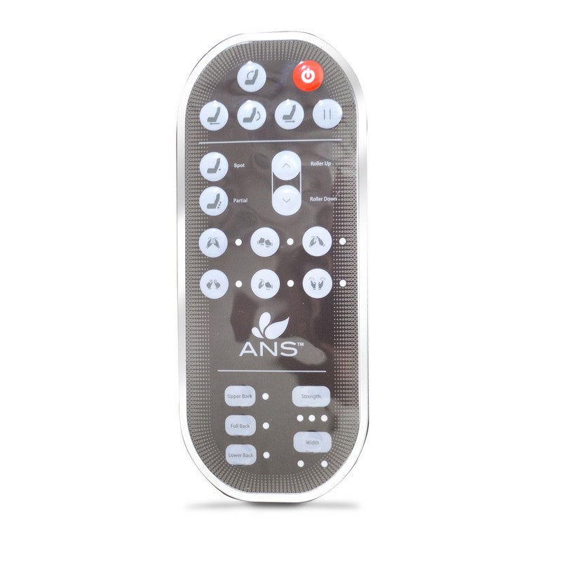 ANS-P20B/P20C Remote Control with Overlay
