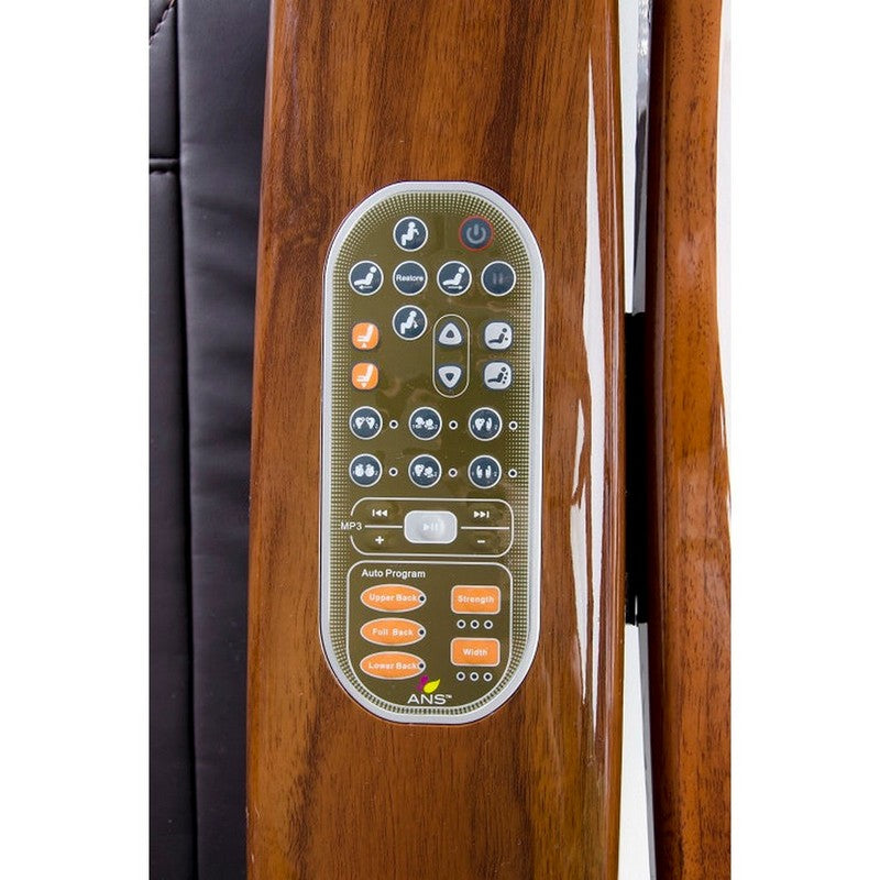 ANS-P20 Remote Control with Overlay