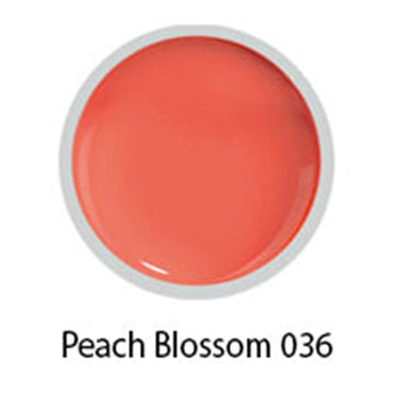 Beyond - #036 Painting Gel - Peach Blossom - 8 gr