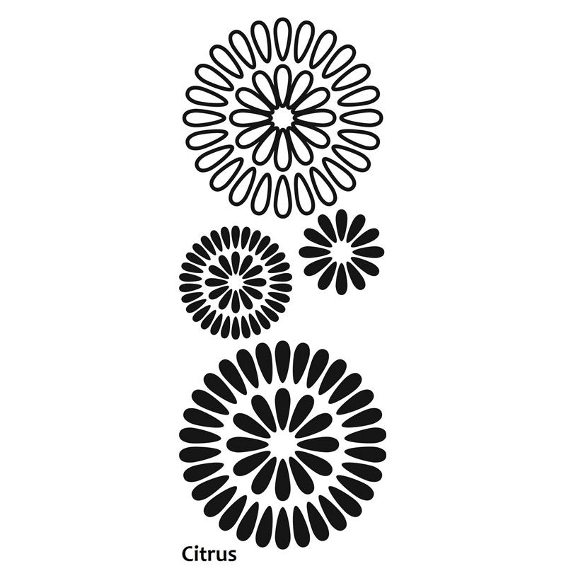 Citrus Long Decal 22"x60"