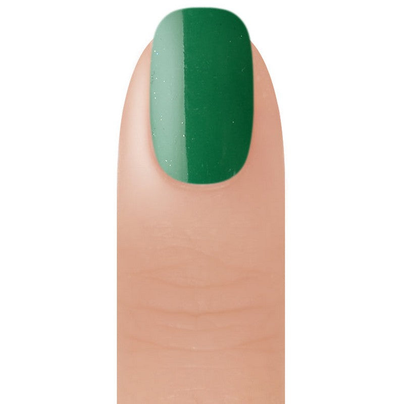 Beyond Powder #22 Forest Green - 1 lb
