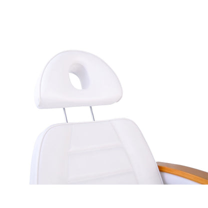 Facial Beauty Chair & Wooden Armrests, Split Legs w/ 5 Motors - White