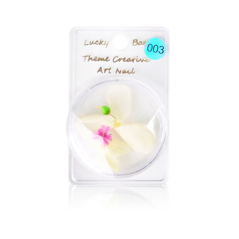 Nail Art Dry Flower Decoration - # 1 - 5 Set of 5