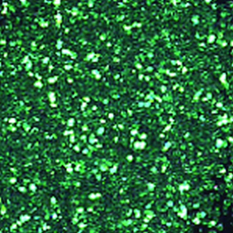 Nail Glitter Green 0.3oz