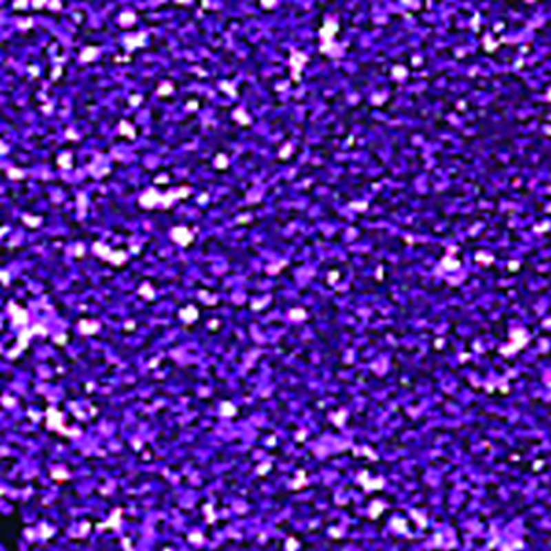 Nail Glitter Purple 0.3oz