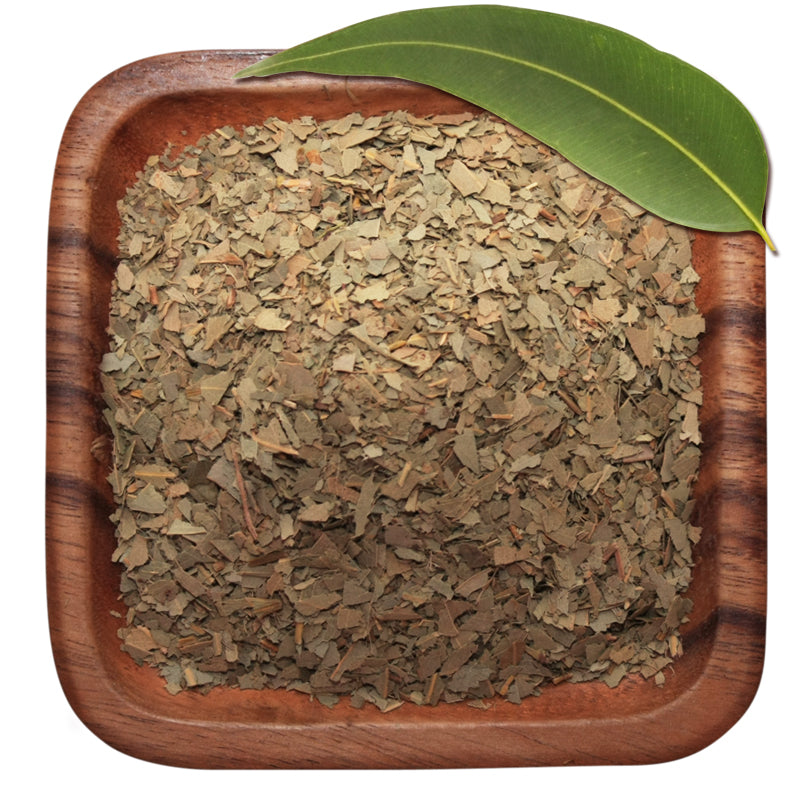 Botanical Escapes Eucalyptus Leaf Herb 1 lb