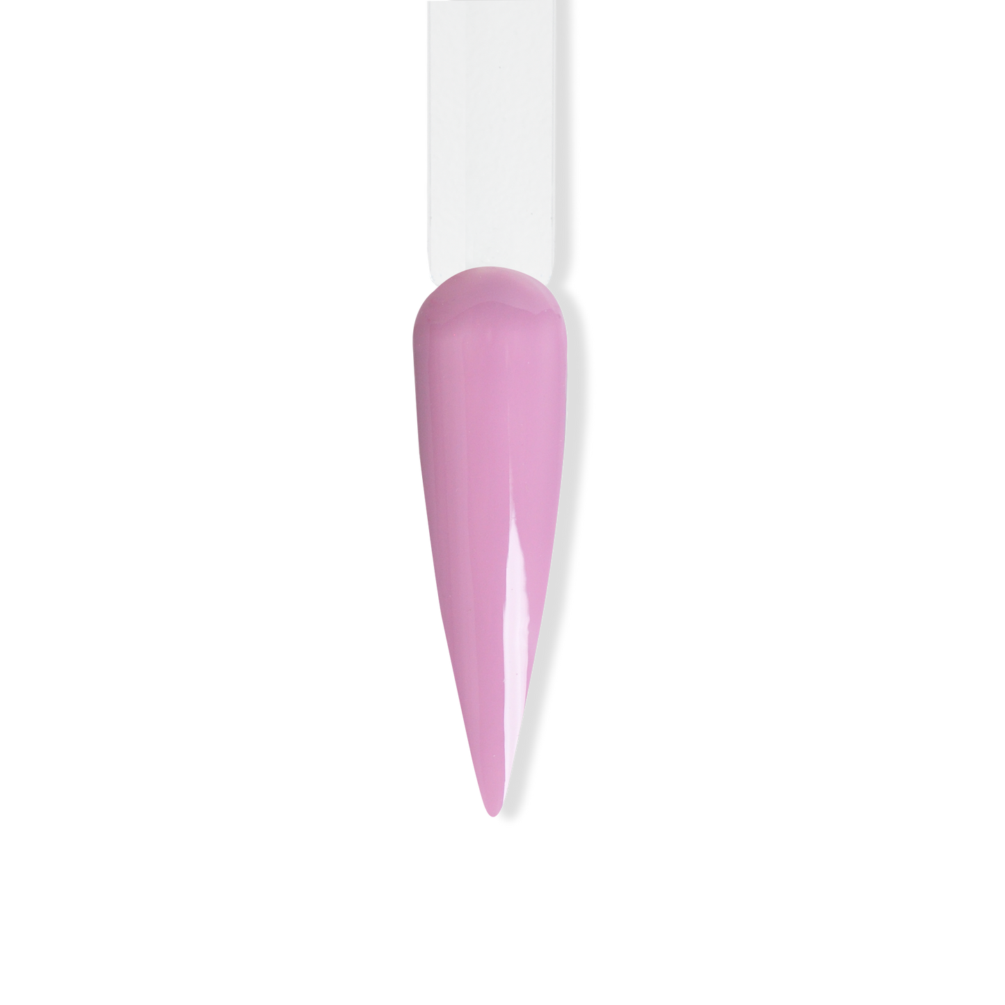 Le'K Trio - Lace Panties