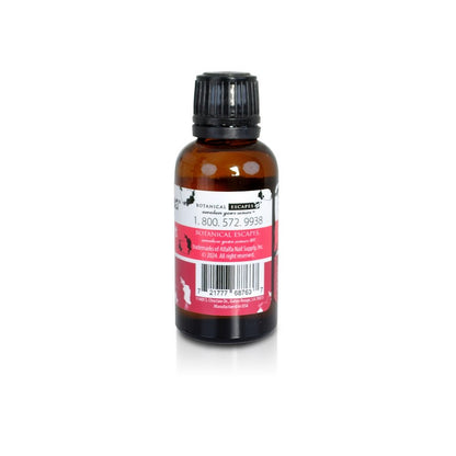 Sweetheart Fragrance Oil 1 oz