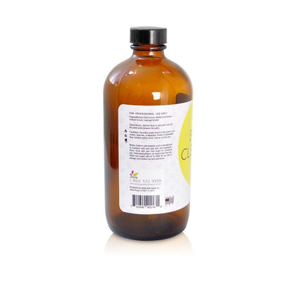 QT Brush Cleaner