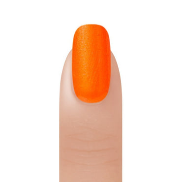 Regal Duo - Pumpkin - 0.5/0.5 oz
