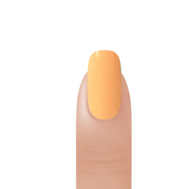 Regal Dip - Butterscotch - 2 oz