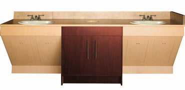 Contemporary Double Sink w/ Porcelain Vessel