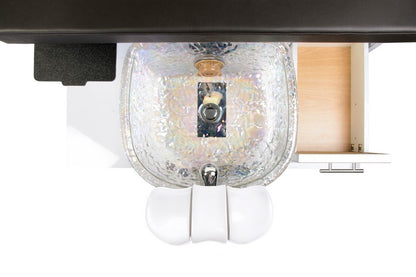 Artelli Bench PediSpa & Glass Sink w/ installation
